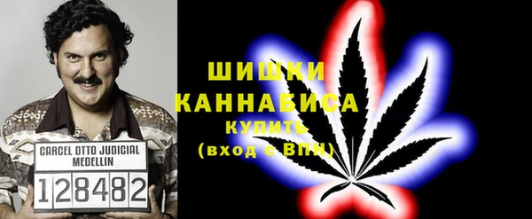 ПСИЛОЦИБИНОВЫЕ ГРИБЫ Алзамай