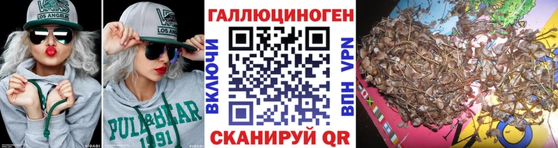 купить наркоту  гидра ссылка  Галлюциногенные грибы Psilocybine cubensis  Саранск 