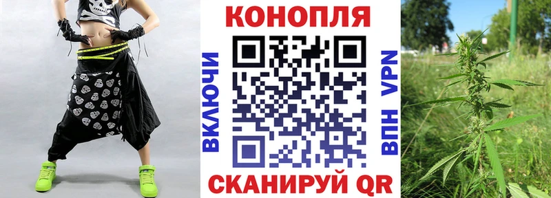 Конопля гибрид  купить наркотик  Саранск 